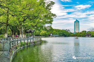 月湖公园