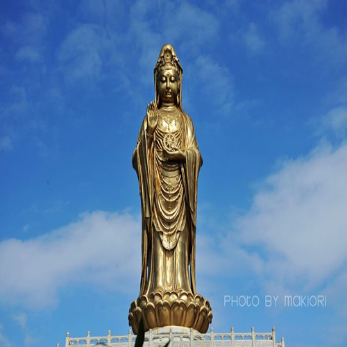 普陀山景区（舟山机场）