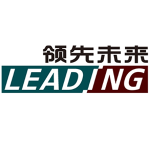 领先未来（北京）科技有限公司